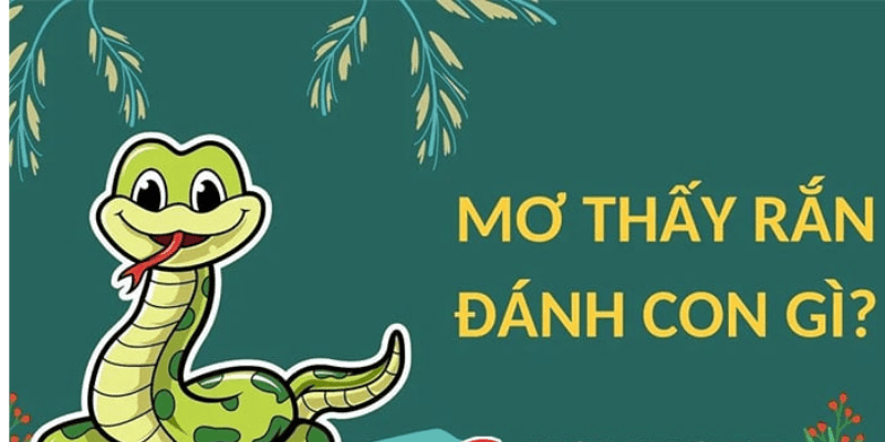 Cảm Xúc Khi Mơ Thấy Rắn