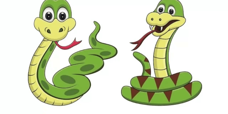 Những Con Số May Mắn Liên Quan Đến Giấc Mơ Thấy Rắn